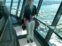 auckland (05)